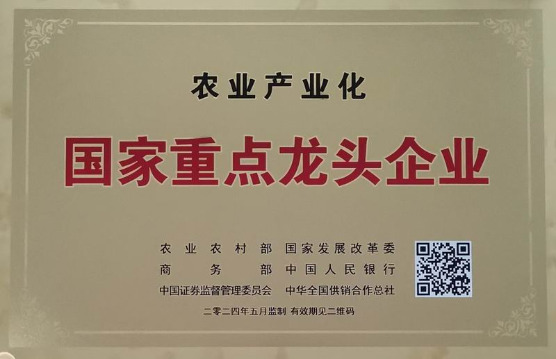 国家重点龙头企业